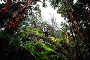 BIB: 
                            <button type="button" onclick="openModal(26205462)" class="btn btn-primary btn-sm float-right btn-popup" data-toggle="modal" data-target=".modal-high-quality">
                        <i class="fas fa-shopping-cart"></i> Add to Cart
                    </button>
                                            <button type="button" onclick="isThisMe(26205462, true)" class="btn btn-success btn-sm float-right btn-popup btn-isme hidden" data-toggle="tooltip" data-placement="bottom" title="นี่คือรูปของคุณใช่ไหม คลิกที่นี่เพื่อเอาเข้าอัลบั้ม">
                        <i class="fas fa-plus"></i> Add to album
                    </button>
                    <button type="button" onclick="isThisMe(26205462, false)" class="btn btn-warning btn-sm float-right btn-popup btn-isnotme hidden">
                        <i class="fas fa-ban"></i> Remove from album
                    </button>